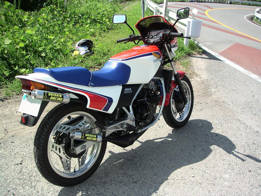 mvx250-18.jpg