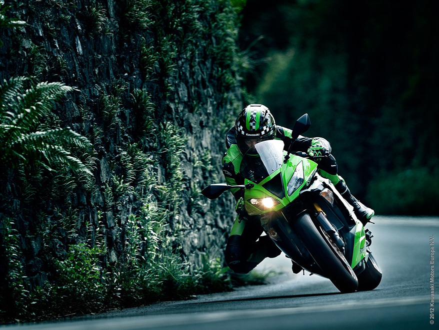 2013_zx636_18.jpg