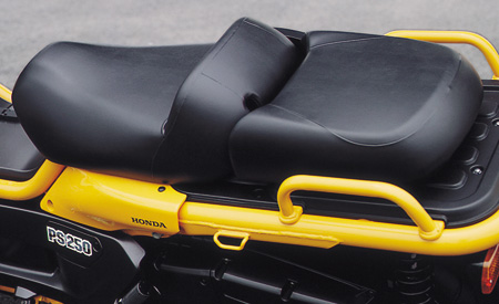 ps250_tandemseat2.jpg