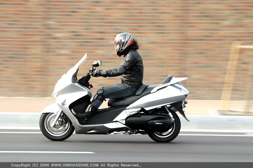 silverwing600_01.jpg