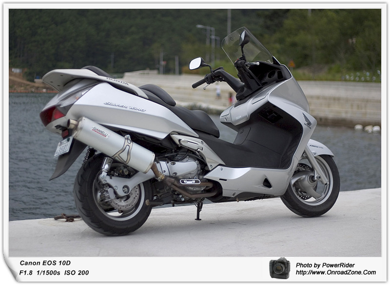 silverwing600_5.jpg