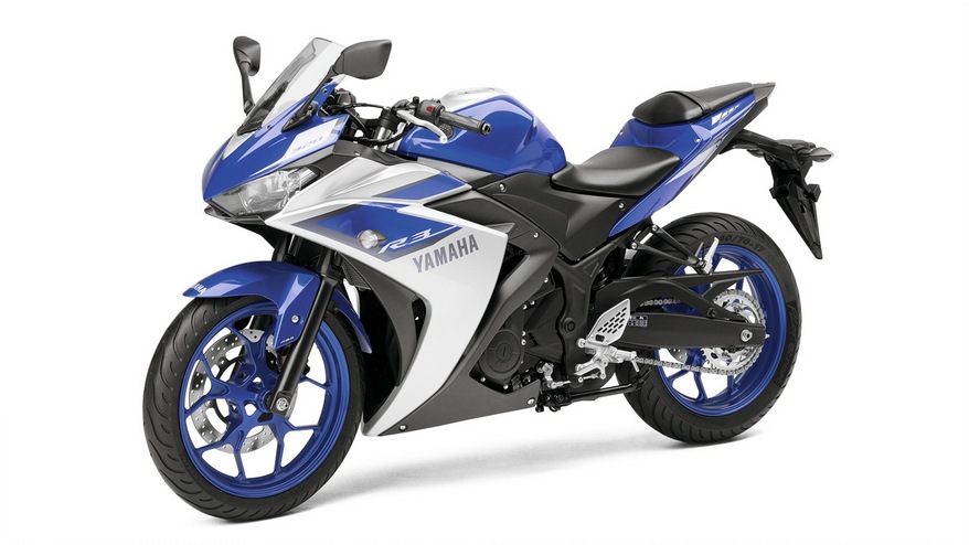 yzfr3-2.jpg